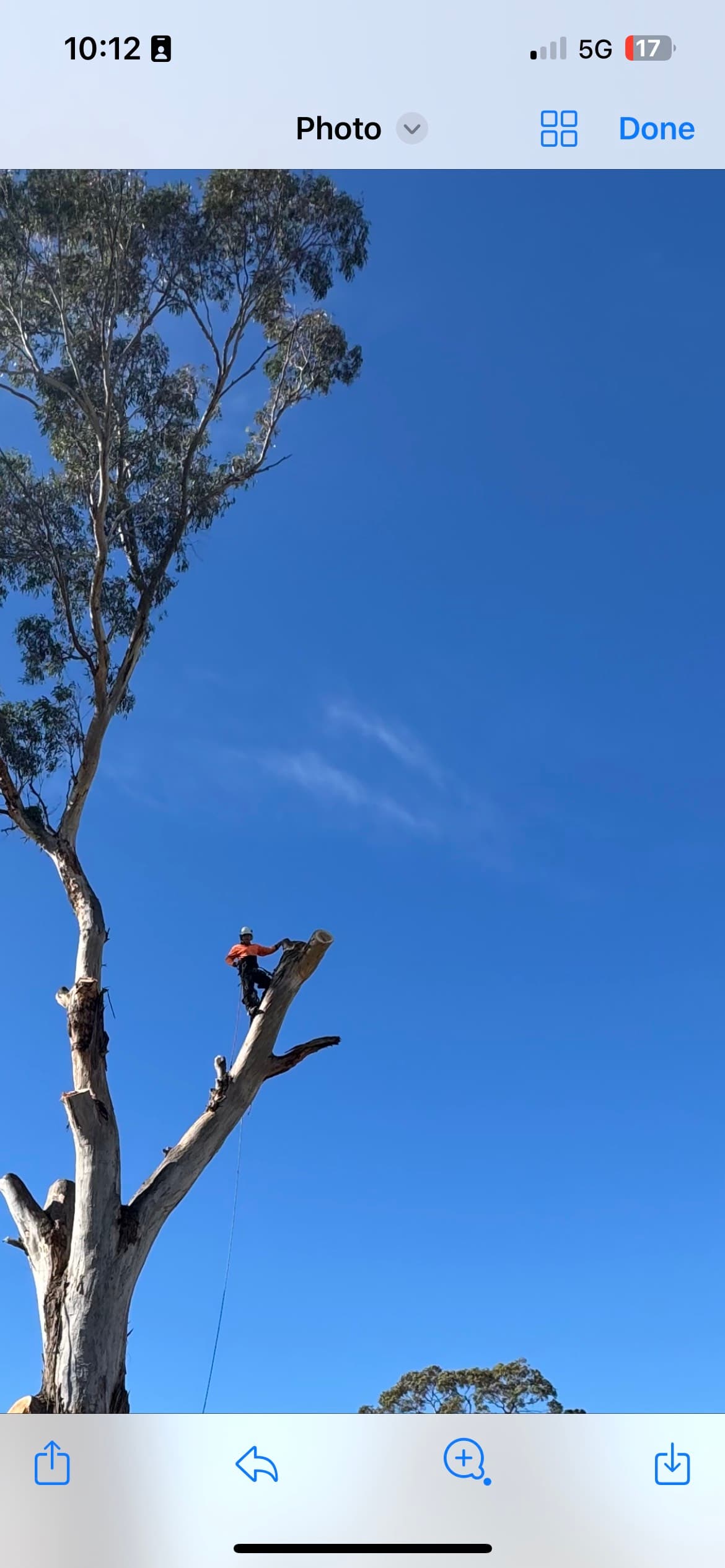 Professional crane job by The Green Barber
