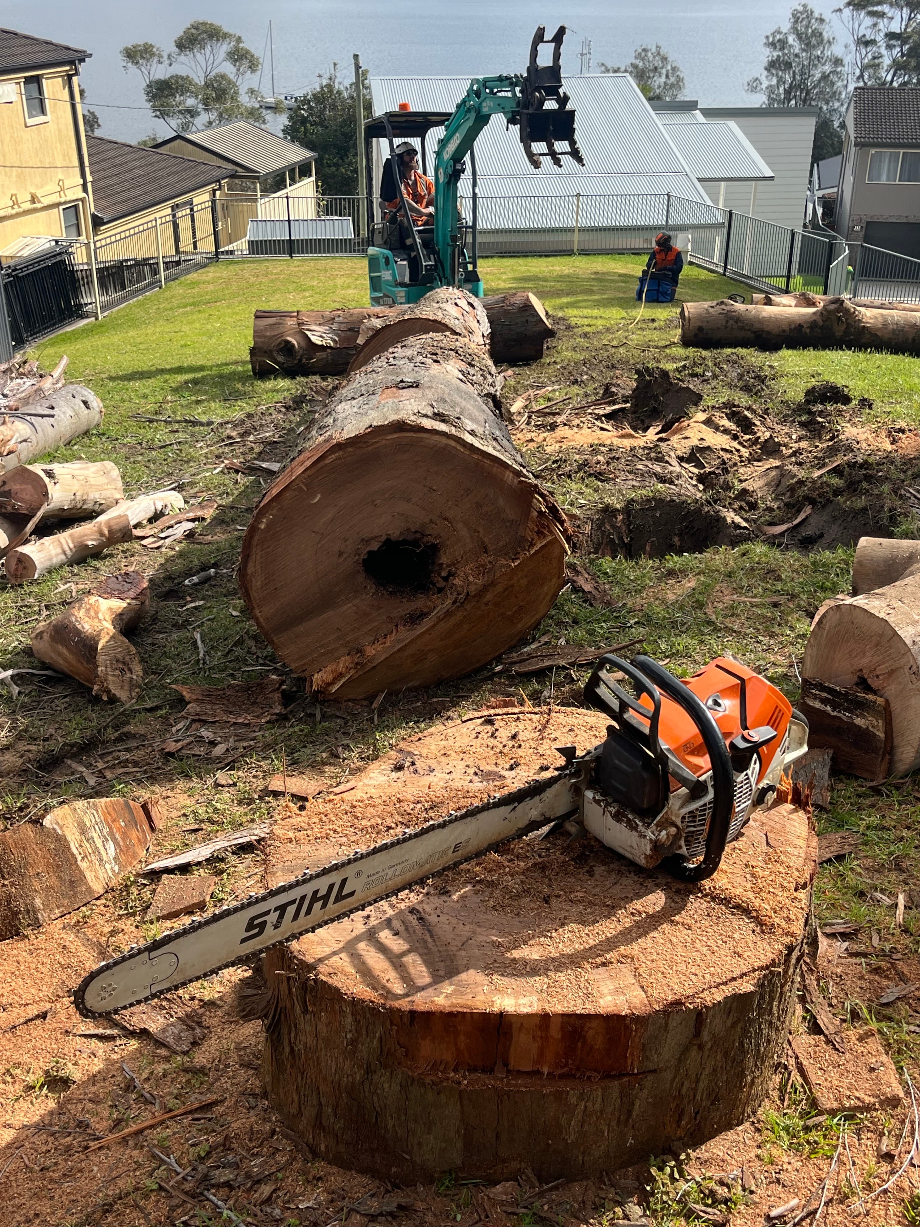 Hazardous tree removal by certified arborists